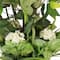 6ft. Artificial Ficus Microcarpa Tree in White Decorative Pot